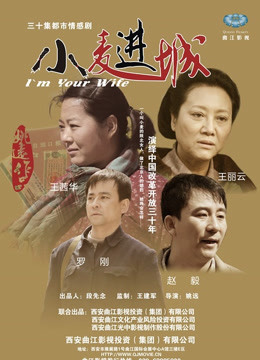 小麦进城封面图