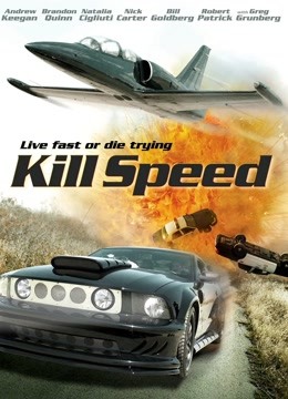 急速杀机封面图