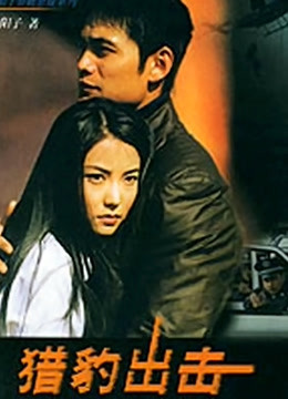 猎豹出击封面图