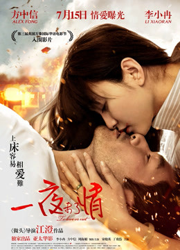 一夜未了情封面图