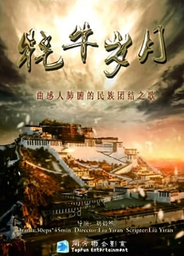 牦牛岁月封面图