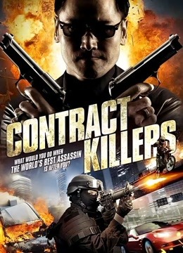 职业杀手封面图