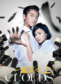 云巅之上第一季封面图