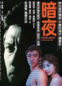 暗夜封面图