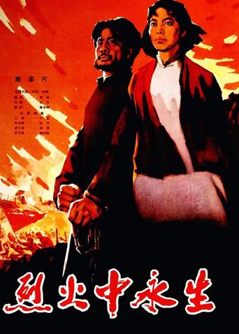 烈火中永生封面图