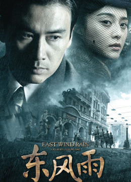 东风雨封面图