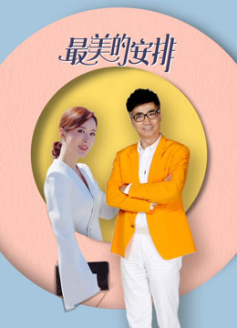 最美的安排封面图