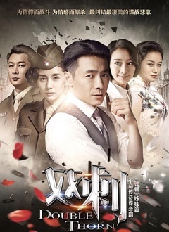双刺封面图