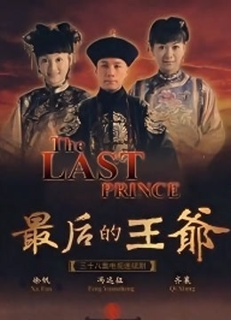 最后的王爷封面图