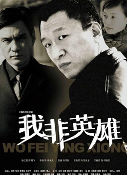 我非英雄封面图
