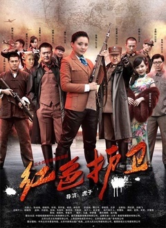 红色护卫封面图