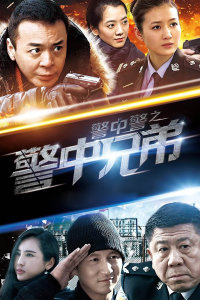 警中警之警中兄弟封面图