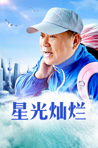 星光灿烂封面图