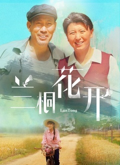 兰桐花开封面图