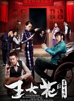 王大花的革命生涯封面图
