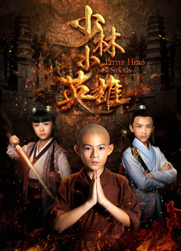 少林小英雄封面图