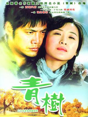 青树封面图