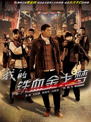 我的铁血金戈梦封面图