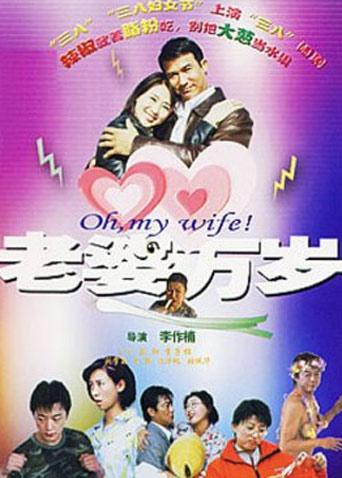 老婆万岁封面图