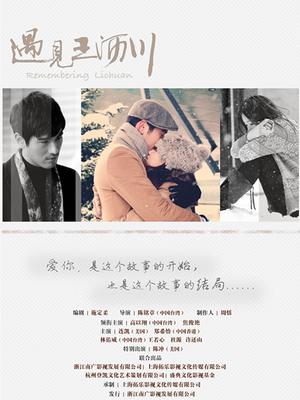 遇见王沥川封面图