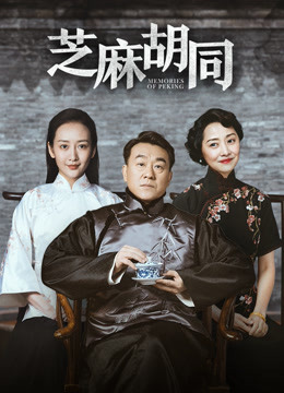 芝麻胡同封面图