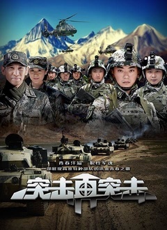 突击再突击封面图