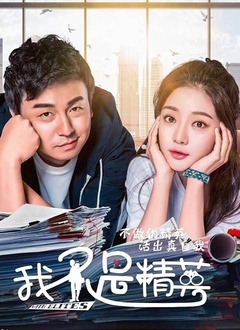 我不是精英封面图