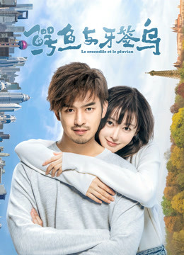 鳄鱼与牙签鸟封面图