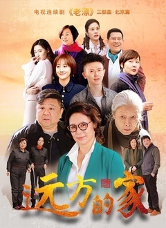 远方的家封面图