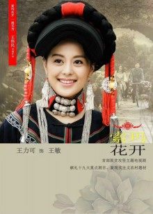 索玛花开封面图