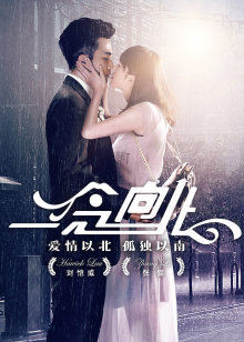 一念向北封面图