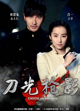 刀光枪影封面图