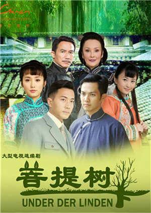 菩提树下封面图