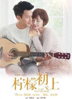 柠檬初上封面图