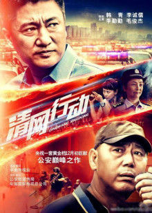 清网行动封面图