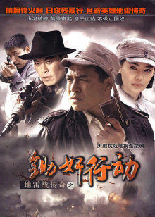 地雷战传奇之锄奸行动封面图