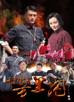 千里雷声万里闪封面图