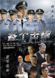 各个击破封面图