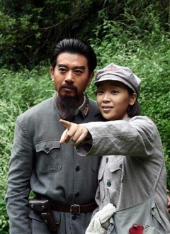 战地黄花封面图