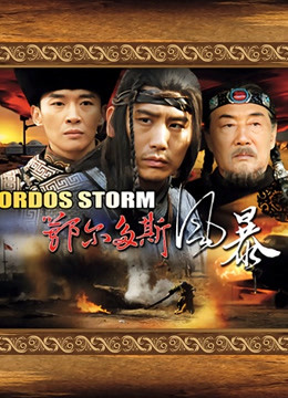 鄂尔多斯风暴封面图