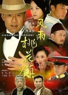 风雨桃花镇封面图