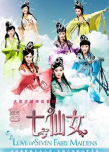 天地姻缘七仙女封面图