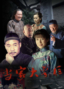 当家大掌柜封面图