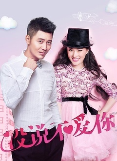 没说不爱你封面图