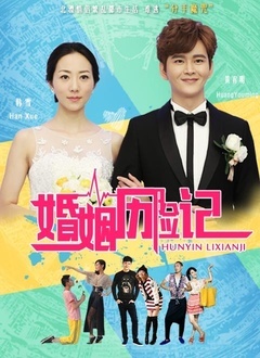 婚姻历险记封面图