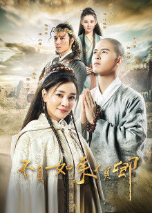 不负如来不负卿封面图