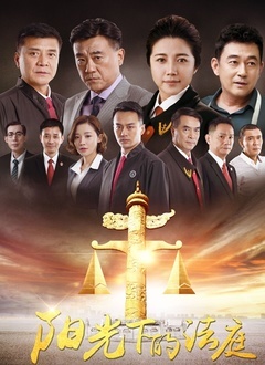 阳光下的法庭封面图