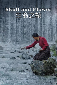 生命之轮封面图