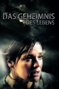 生命密码封面图