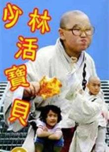 少林活宝贝封面图
